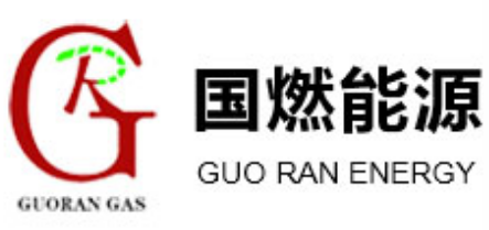 國燃能源科技發展有限公司